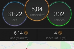 Screenshot_Rebea